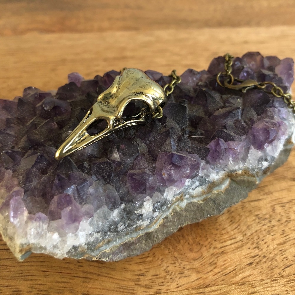 Raven Skull Bird Necklace